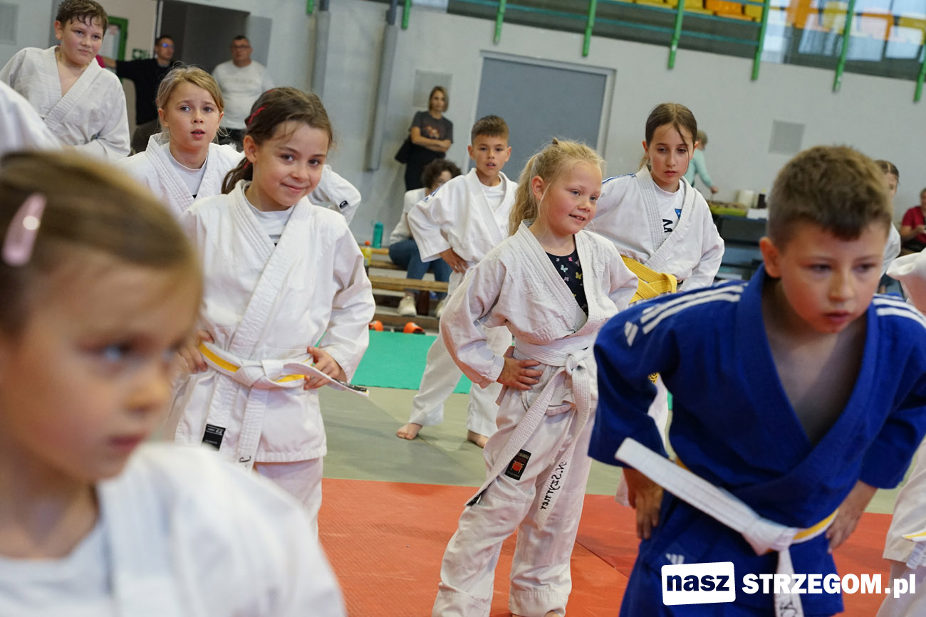 Judocy walczyli o Puchar Burmistrza. Pierwsze takie mistrzostwa w Strzegomiu [FOTO] 